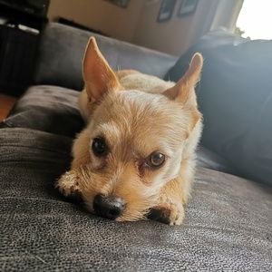 Meet your Posher, Jenna